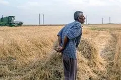 بخش قابل توجهی از آب از کشور خارج می‌شود / ایران در شرایط اسنپ‌بک به راهبرد غذایی روشن نیاز دارد