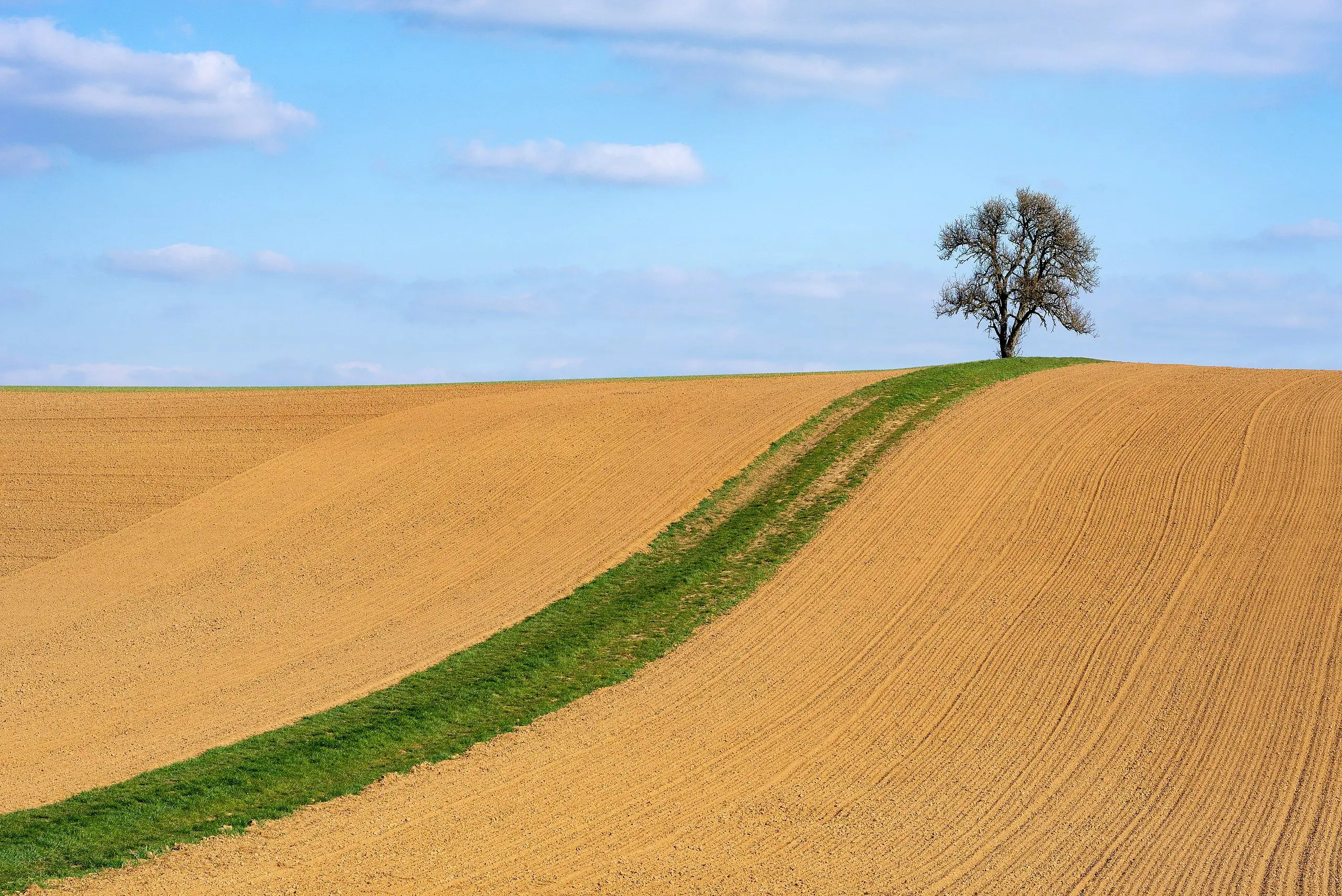 ایران پایین‌تر از گینه بیسائو، هائیتی و لبنان ایستاد/ رتبه پایین آزادی اقتصادی و محیط زیستی  