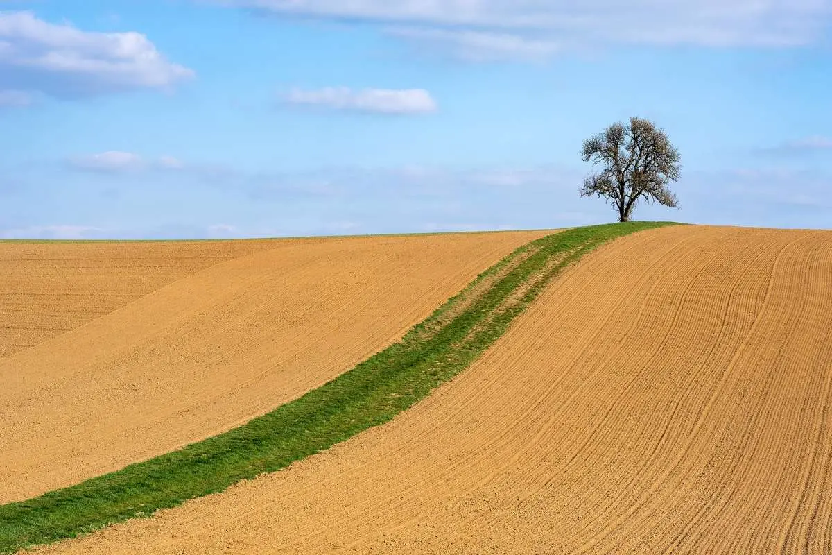 ایران پایین‌تر از گینه بیسائو، هائیتی و لبنان ایستاد/ رتبه پایین آزادی اقتصادی و محیط زیستی  
