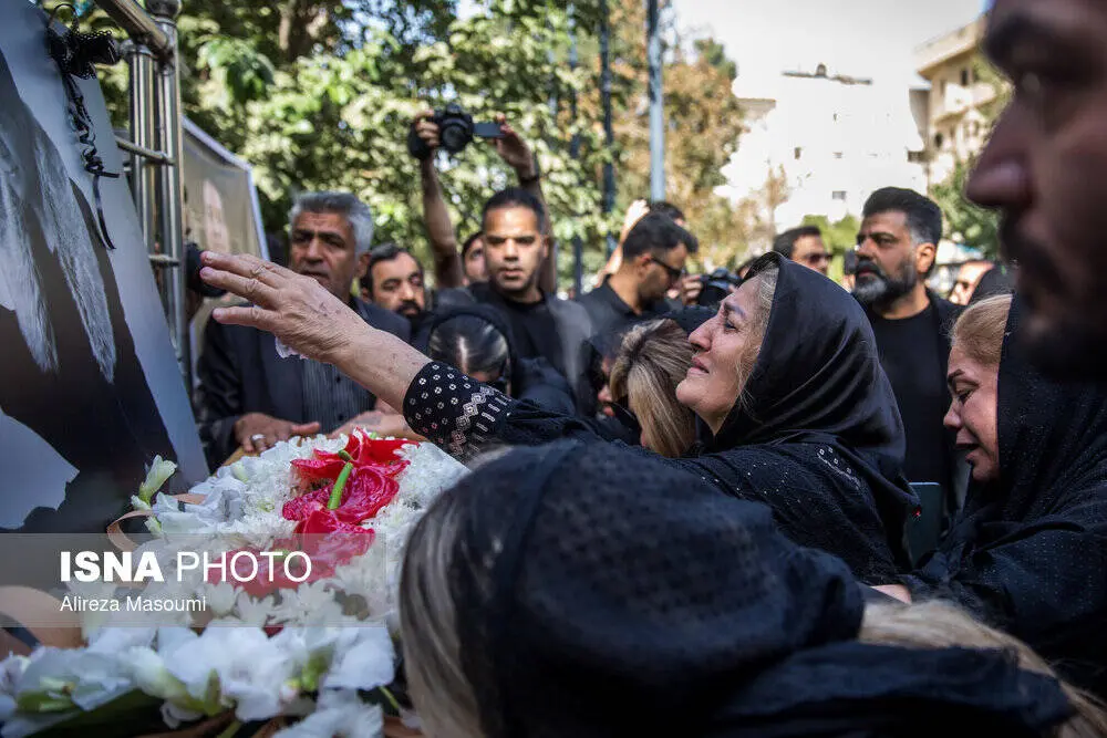 گالری