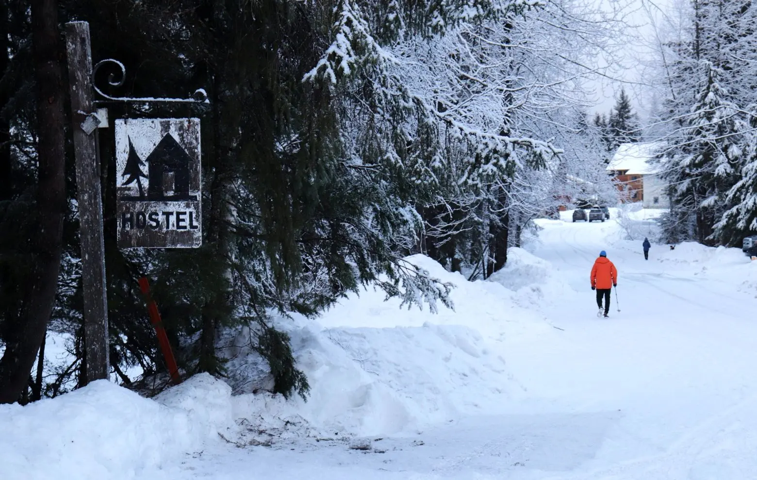 زمستان به گیر‌دوود آلاسکا رسید