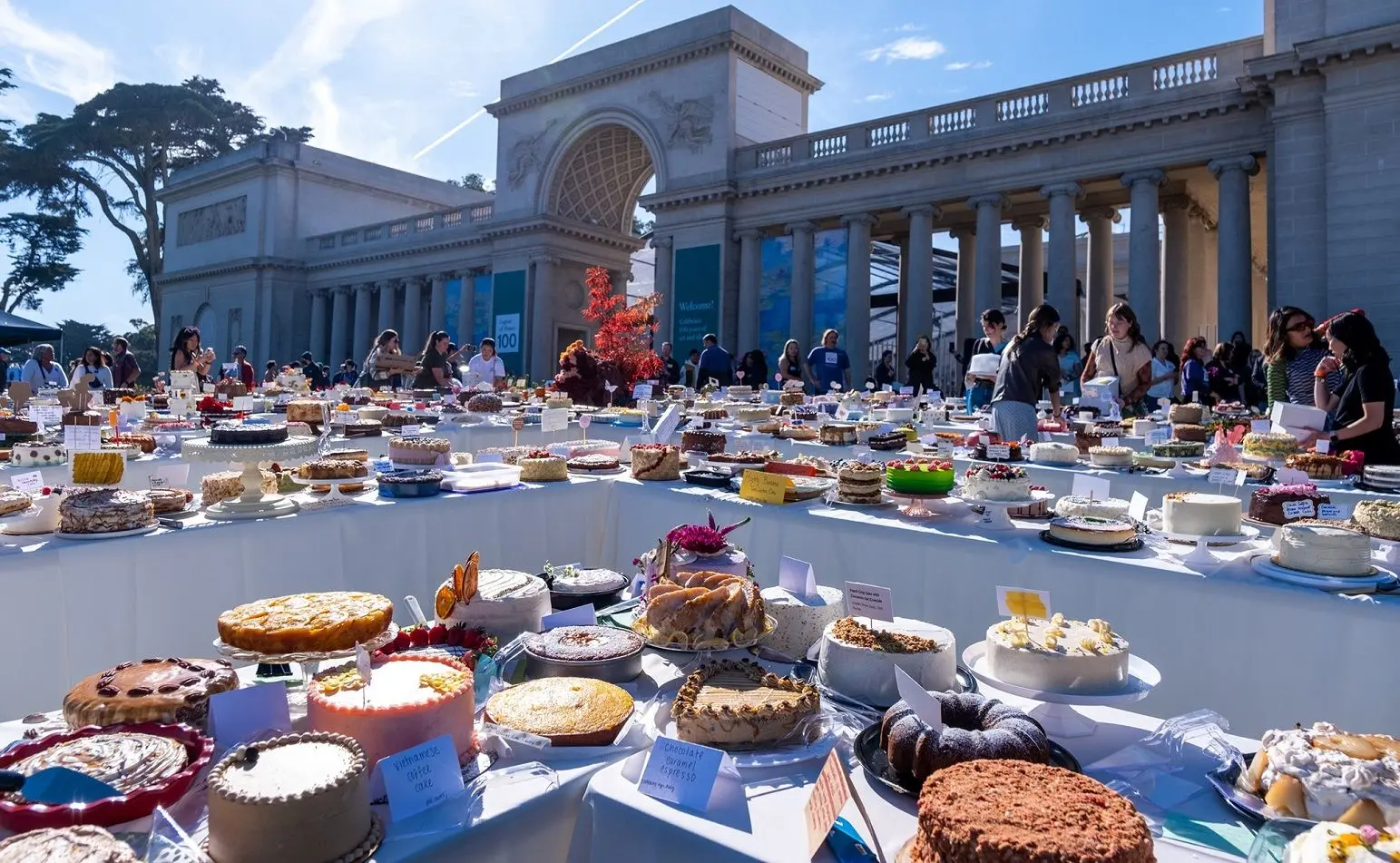 ببینید؛ ثبت رکورد با بیش از دو هزار کیک در پیک‌نیک سالانه