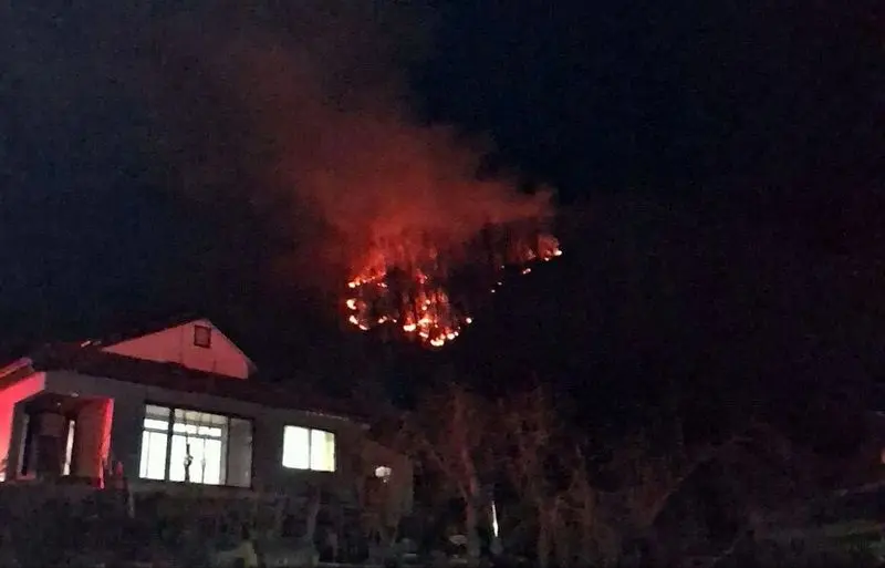 photo_2026-02-25_17-39-56