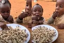 ویدیویی تکان‌دهنده از اوگاندا؛ کودکان از شدت گرسنگی موریانه زنده می‌خورند