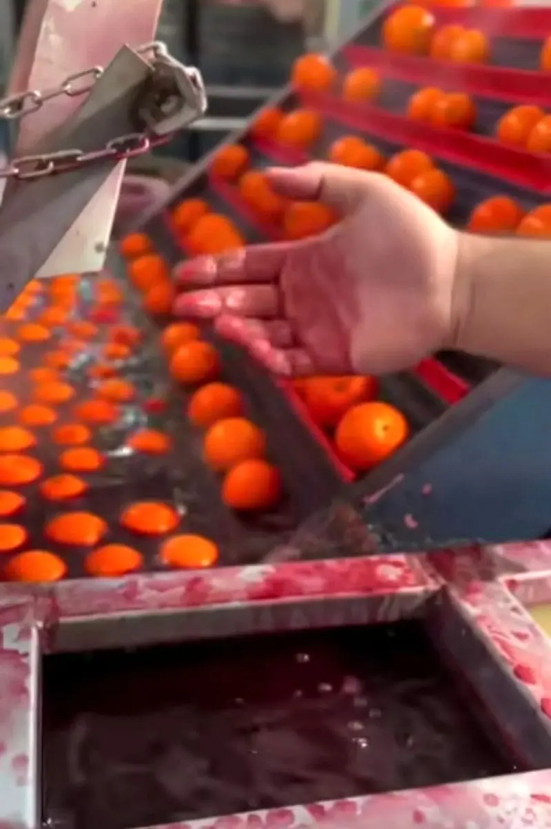 رنگ کردن پرتقال