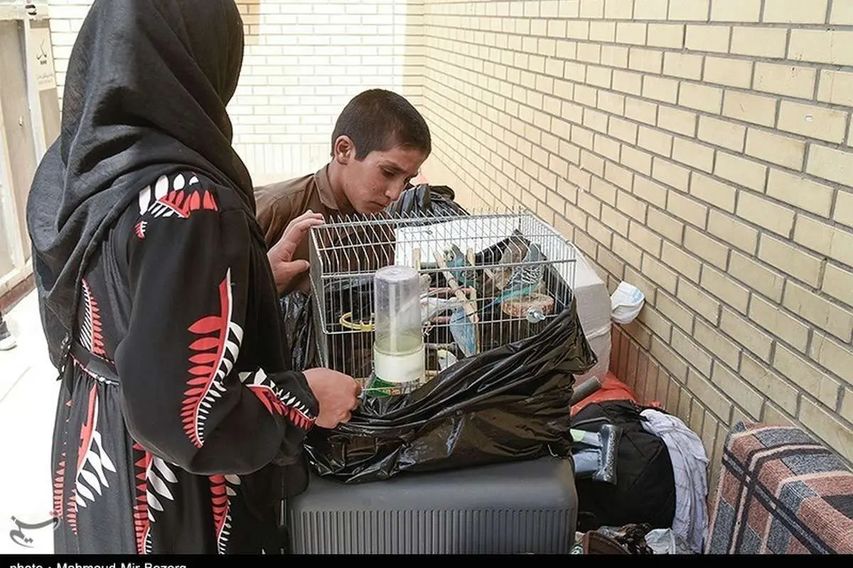 تصاویر؛ خروج اتباع افغانستانی از زاهدان
