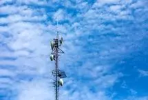 پارازیت‌ها باران را عقیم می‌کنند؟
