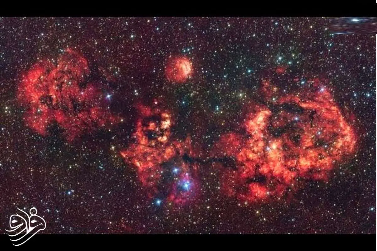 تصویر باورنکردنی از خفاش هالووین در آسمان!