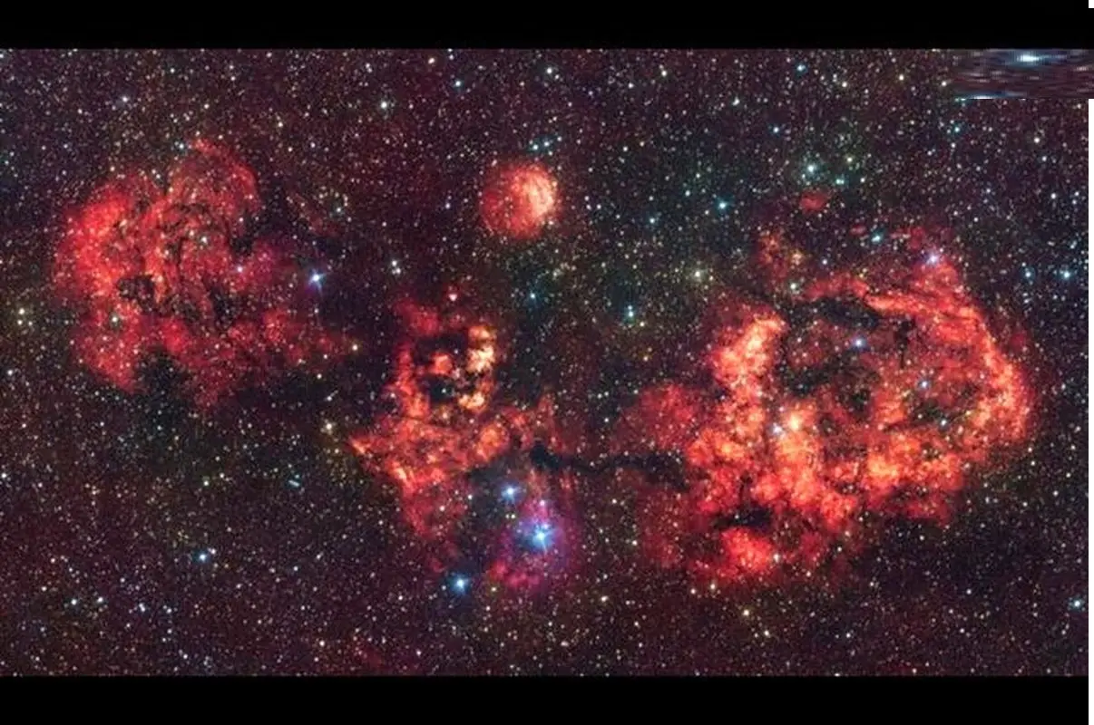 تصویر باورنکردنی از خفاش هالووین در آسمان!