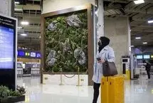 قیمت جدید بلیط هواپیما 