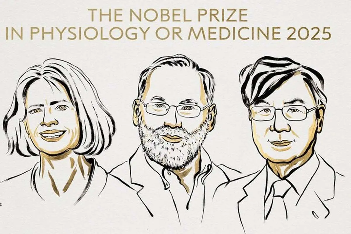 برندگان جایزه نوبل پزشکی ۲۰۲۵ معرفی شدند
