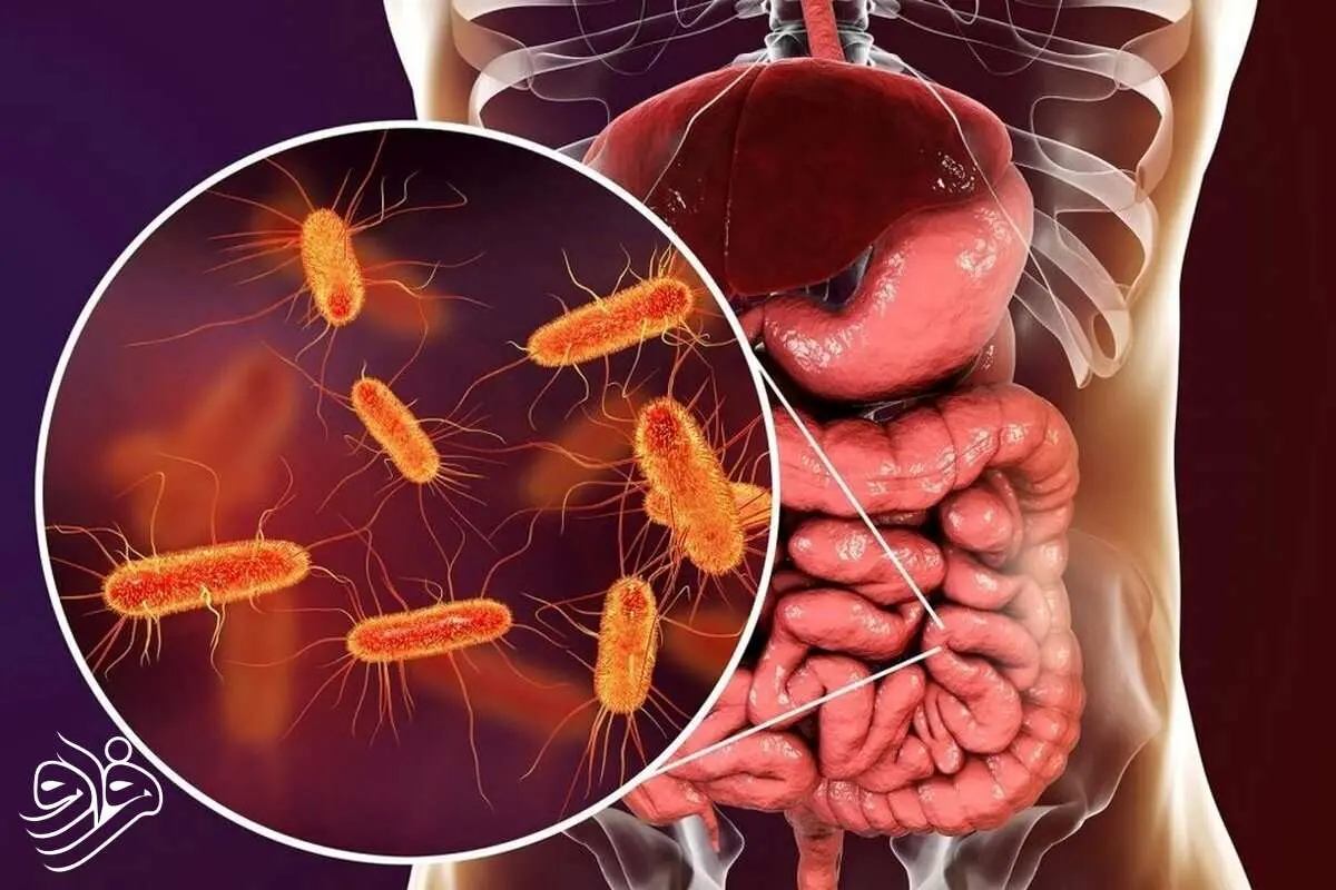 ماده مغذی که روده‌ها را علیه دیابت فعال می‌کند