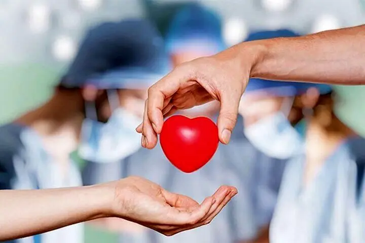 آیا بعد از پیوند عضو «شخصیت» هم تغییر می‌کند؟