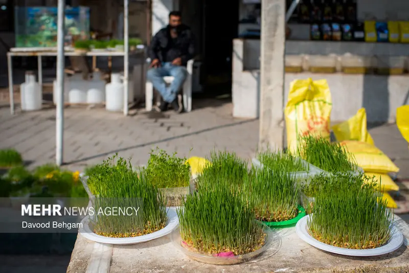 نوروز ۱۴۰۵ ۳۲