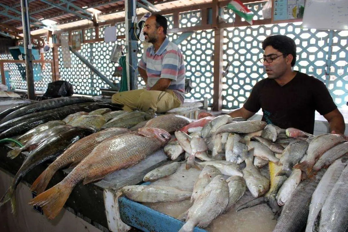 گرانی ماهی گردن قطعی برق افتاد!