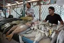 گرانی ماهی گردن قطعی برق افتاد!