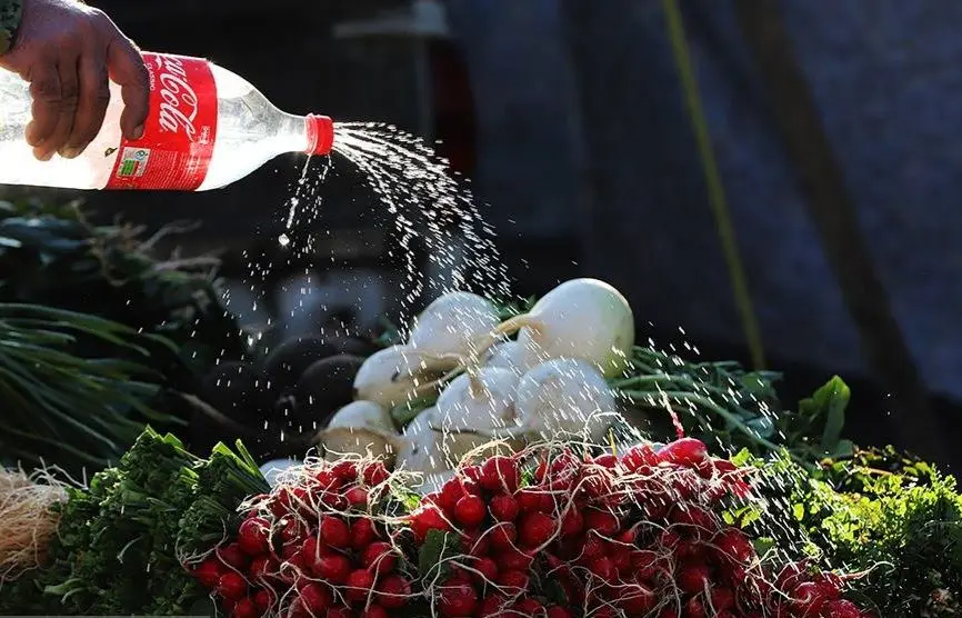 تصاویر؛ جمعه بازارِ چالوس