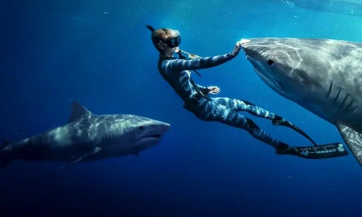 لحظه بلعیده شدن دوربین غواص توسط یک کوسه