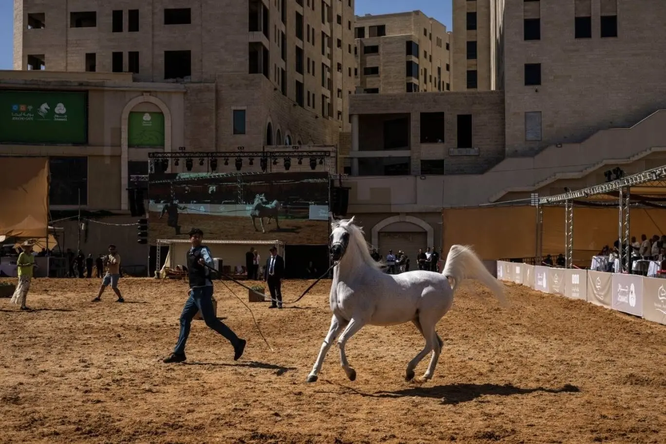 شور اسب‌داری در میان فلسطینی‌ها