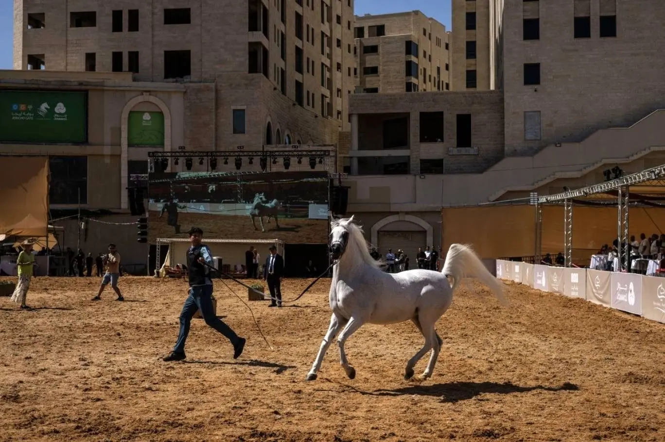شور اسب‌داری در میان فلسطینی‌ها
