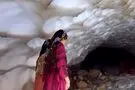 بهشت یخی در مرز ایران
