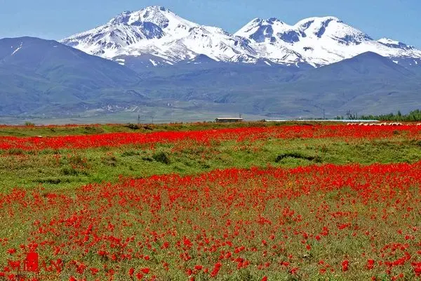 ببینید؛ تغییر چهره سبلان؛ از آبان پوشیده از برف تا آذر بهاری
