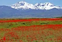 ببینید؛ تغییر چهره سبلان؛ از آبان پوشیده از برف تا آذر بهاری