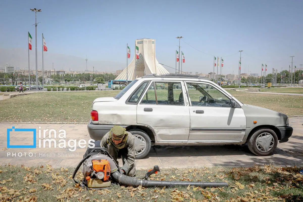 گالری