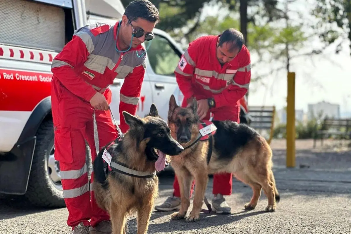 داستان باراک؛ سگ زنده‌یاب هلال احمر