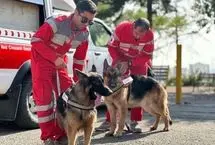 داستان باراک؛ سگ زنده‌یاب هلال احمر