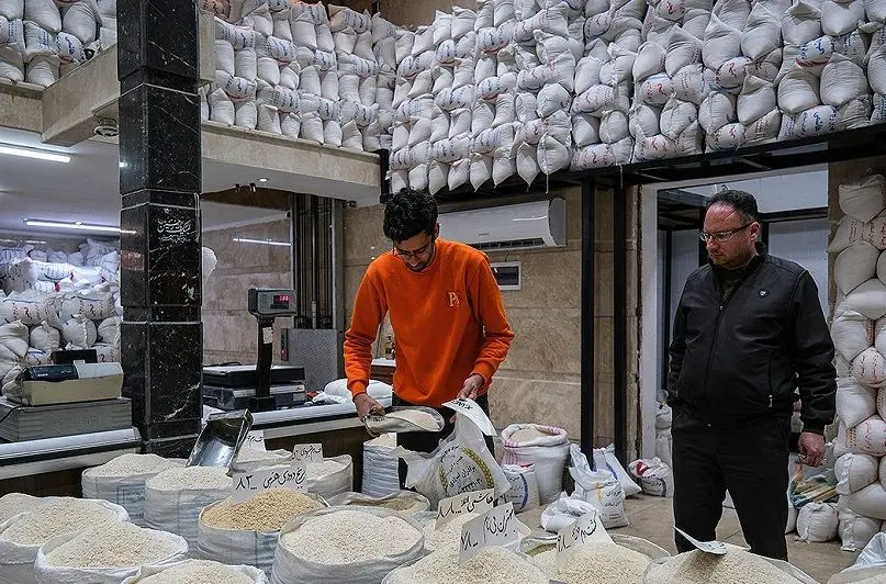 ارز ترجیحی برنج خارجی حذف شد