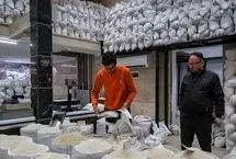 ارز ترجیحی برنج خارجی حذف شد