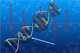 اولین داروی ترمیم‌کننده DNA از راه رسید؛ امیدی تازه برای بیماران قلبی