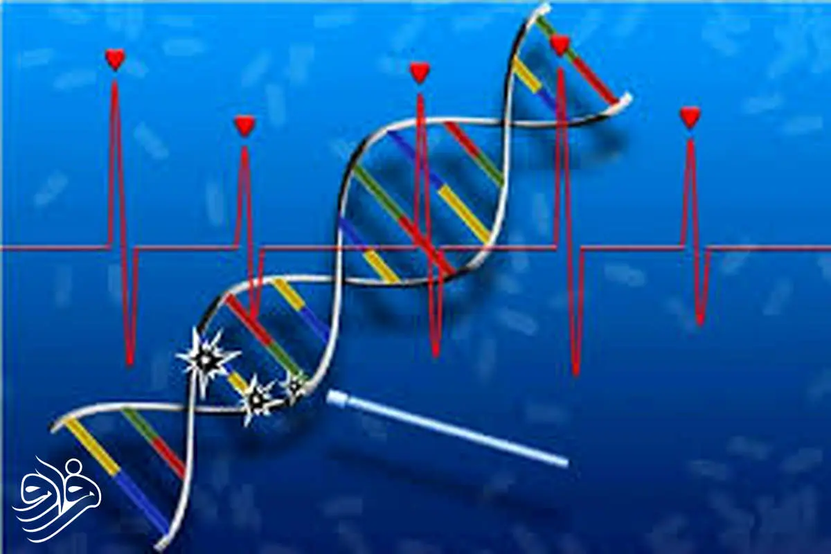 اولین داروی ترمیم‌کننده DNA از راه رسید؛ امیدی تازه برای بیماران قلبی