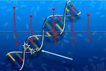 اولین داروی ترمیم‌کننده DNA از راه رسید؛ امیدی تازه برای بیماران قلبی