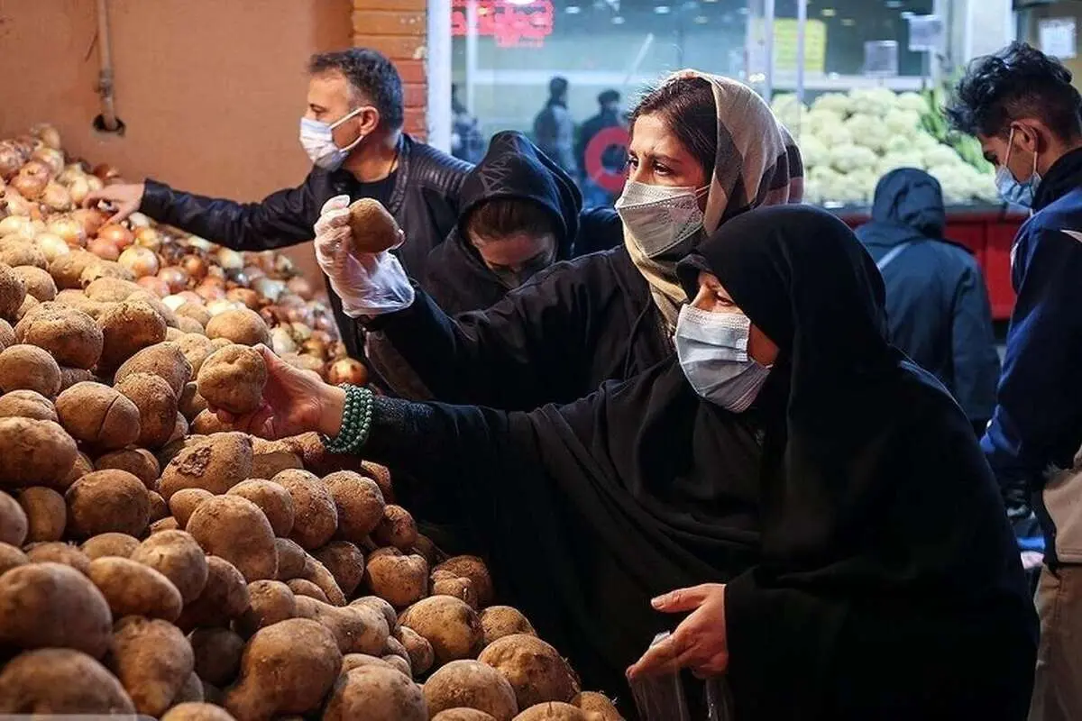 سیب‌زمینی ارزان می‌شود