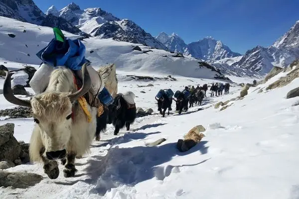 ببینید؛ تلاش برای نجات ۱۰۰۰ کوهنورد گیر افتاده در اورست