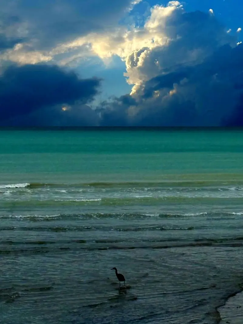 عکس های گرفته شده الناز شاکردوست