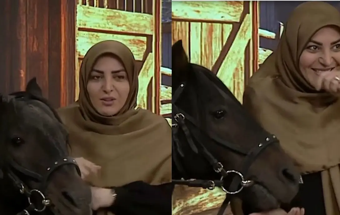تف کردن اسب روی المیرا شریفی‌مقدم پس از خوردن قند