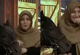 تف کردن اسب روی المیرا شریفی‌مقدم پس از خوردن قند