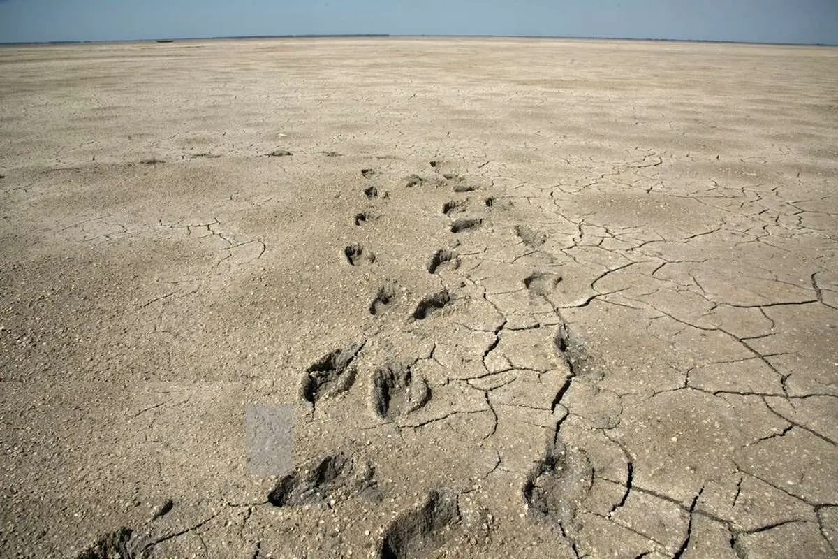 تصاویر؛ آخرین نفس‌های بزرگ‌ترین خلیج خزر