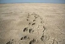 تصاویر؛ آخرین نفس‌های بزرگ‌ترین خلیج خزر