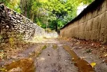 چرا بوی خاکِ نم‌ خورده  آرامش‌ بخش است؟/ آیا عطر باران جایگزین دارد