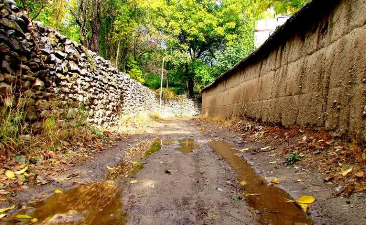 چرا بوی خاکِ نم‌ خورده  آرامش‌ بخش است؟/ آیا عطر باران جایگزین دارد