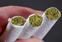 هشدار درباره مصرف گل؛ هم وابستگی دارد هم به سندروم بی‌انگیزگی مبتلا می‌کند