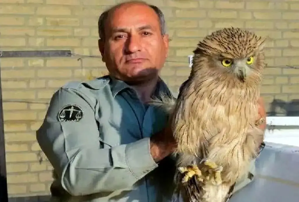 دستگیری دو متهم پرونده شهادت محیط‌بان «هدایت‌الله دیده‌بان» 
