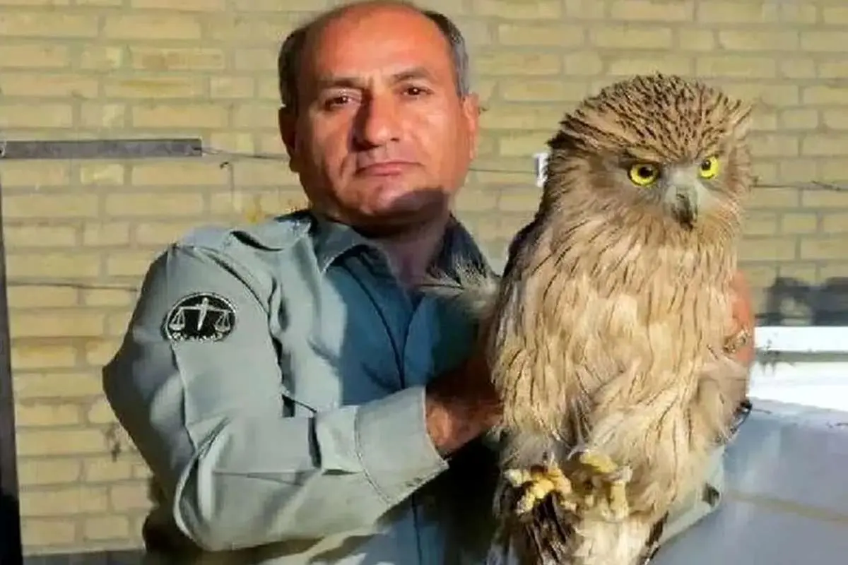 دستگیری دو متهم پرونده شهادت محیط‌بان «هدایت‌الله دیده‌بان» 
