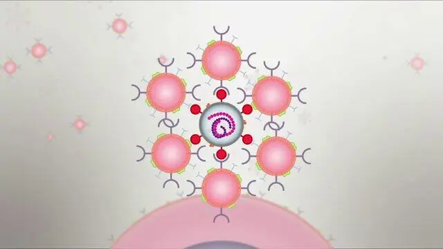 اسفنجی که خون‌ریزی‌ را بند می آورد!
