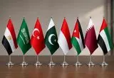 ۸ کشور عربی و اسلامی، مخالفت اسرائیل با طرح ادعایی ترامپ برای غزه را محکوم کردند