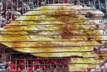 ببینید؛ طرز تهیه ماهی کبابی با برنج ایرانی چمپا